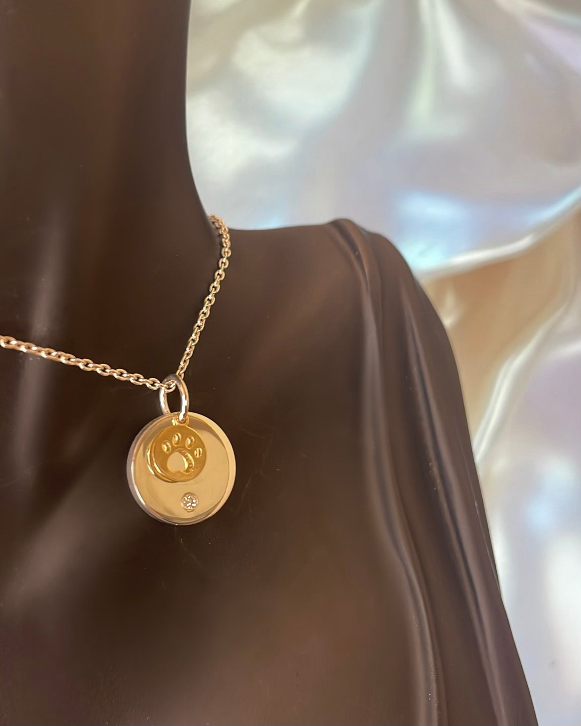 Sterling Silver Disc & Gold Pawprint Pendant