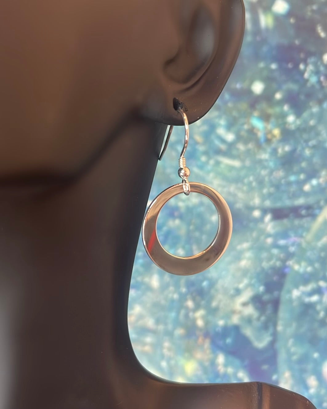 Medium Sterling Silver Hoop Circle Earrings