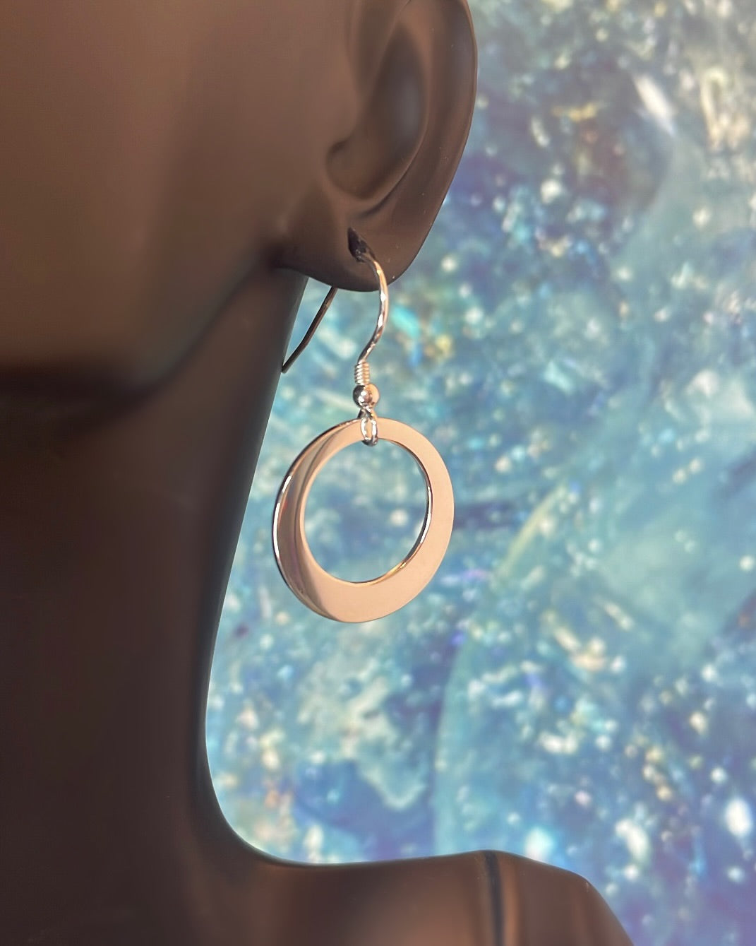 Medium Sterling Silver Hoop Circle Earrings